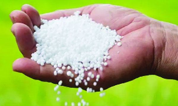 ইউরিয়া সারের দাম বৃদ্ধিতে চাল উৎপাদন ব্যাহত হবে