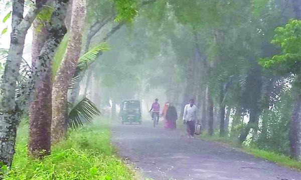 লালপুরে বর্ষার শেষলগ্নে বৃষ্টি : দেখা মিলল কুয়াশার