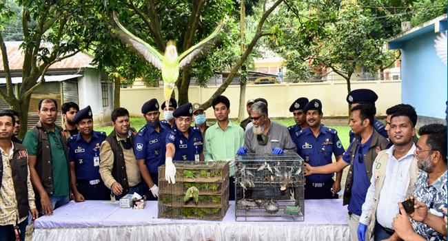 বগুড়ায় নানা প্রজাতির ৩১৪ বন্যপাখি উদ্ধার, ১ জনের কারাদণ্ড