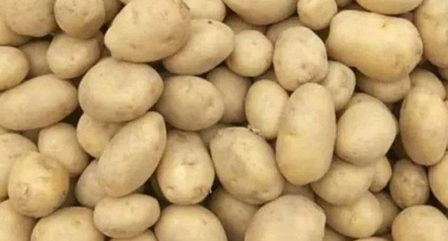 সম্ভাবনা সত্ত্বেও আলু রফতানিতে ধীরগতি