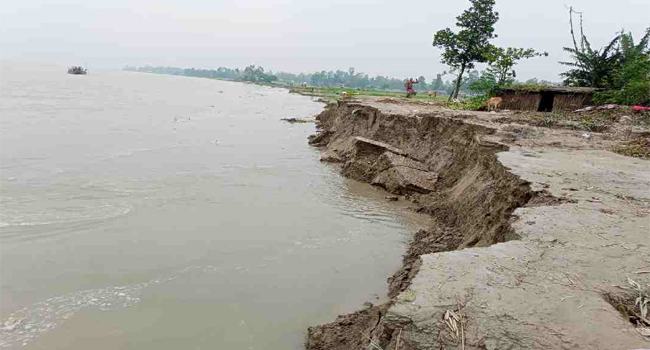তিস্তার ভাঙনে গাইবান্ধা ও কুড়িগ্রামে শতাধিক পরিবার গৃহহীন