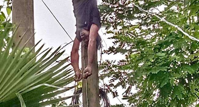 ট্রান্সফরমার চুরি করতে গিয়ে বিদ্যুতের তাড়ে জড়িয়ে মৃত্যু