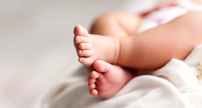 ডাস্টবিনে মিলল জীবিত-সুস্থ এক নবজাতক