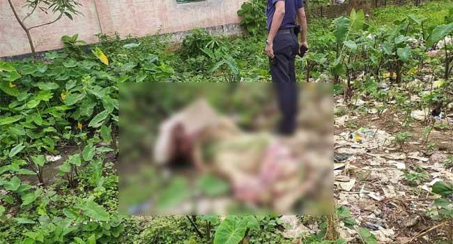 শ্রীপুরে অজ্ঞাত নারীর অর্ধগলিত লাশ উদ্ধার