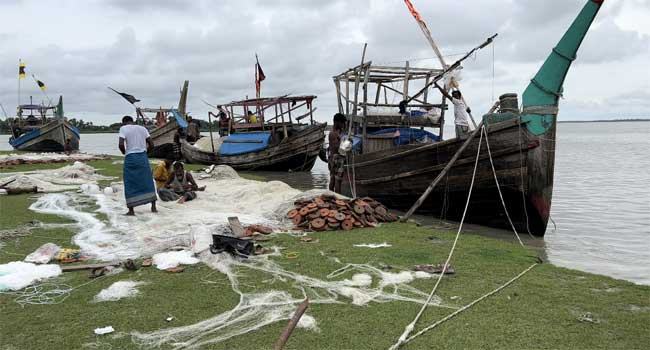 নৌকা বোঝাই ইলিশ নিয়ে ঘাটে ফিরছেন জেলেরা