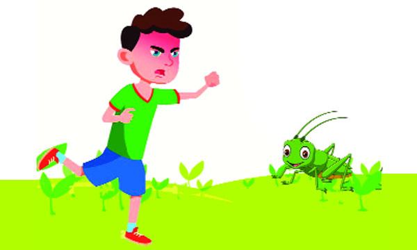 ঘাসফড়িঙের পিছু দৌড়ানো দিন