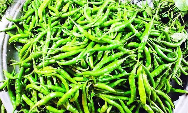 মিরসরাইয়ে কাঁচা মরিচের ট্রিপল সেঞ্চুরি!