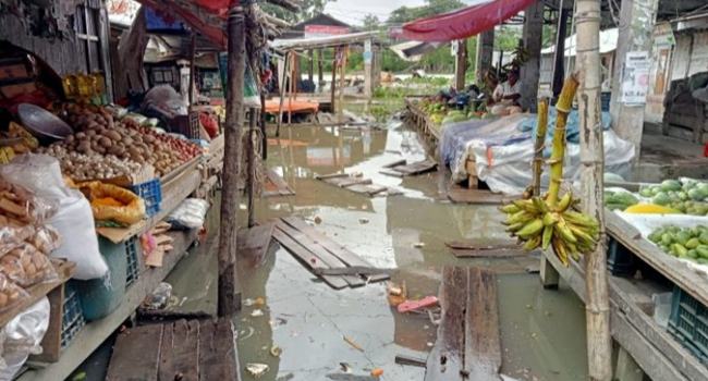 মির্জাগঞ্জে নদীর পানি বৃদ্ধি : বাজারসহ নিম্নাঞ্চল প্লাবিত