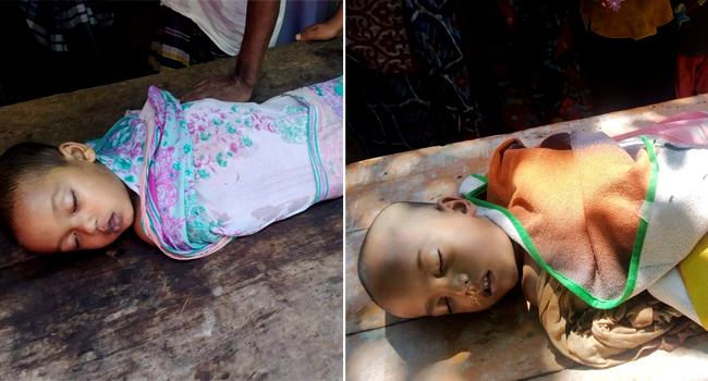 ঘোড়াঘাটে পুকুরে ডুবে ২ শিশুর মৃত্যু