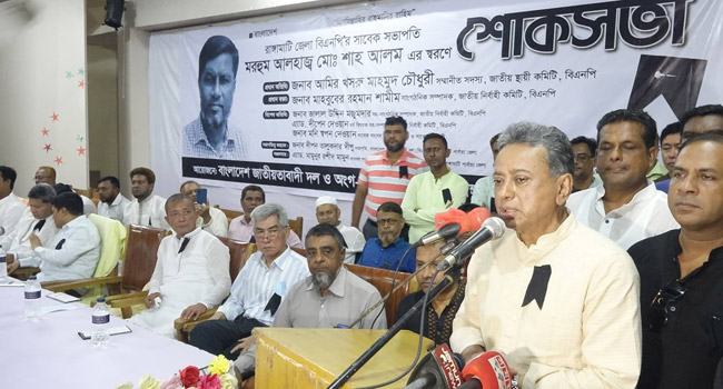 সরকার দেশের জনগণকে সমস্যায় ফেলে দিয়েছে : আমীর খসরু