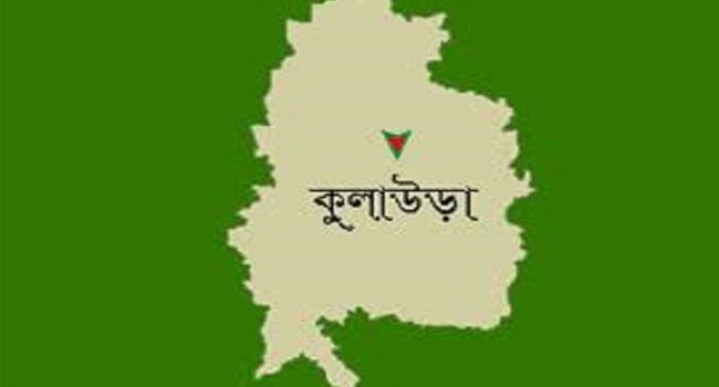 কুলাউড়ায় মাইক্রোবাস খাদে পড়ে যুক্তরাজ্য প্রবাসীসহ আহত ৪