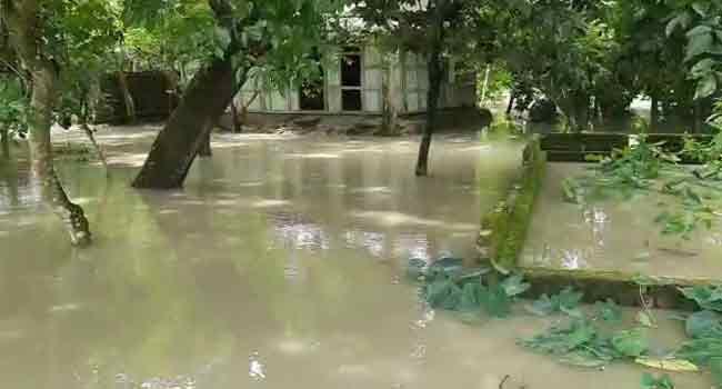 ভোলায় জোয়ারের পানিতে নিম্নাঞ্চল প্লাবিত, ব্যাপক ক্ষয়ক্ষতি