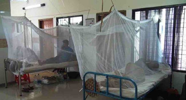 ডেঙ্গু : এক দিনে আরো ৫৩ রোগী হাসপাতালে