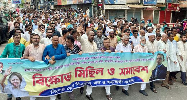 ‘দেশের সংকট নিরসনে আওয়ামী লীগের পদত্যাগের বিকল্প নেই’