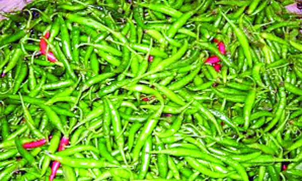শেরপুরে নিত্যপণ্যে আগুন কাঁচা মরিচ ২৮০ টাকা