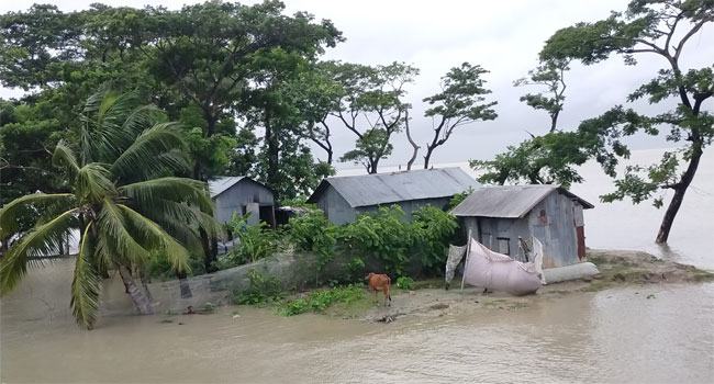 টানা ৫ দিনের জোয়ারে ক্ষতিগ্রস্ত ভোলার শতাধিক পুকুর-ঘের, দিশেহারা মালিকরা