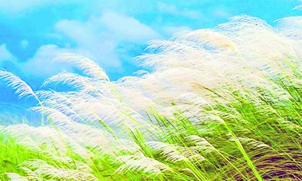 ঋতুকন্যা শরৎ
