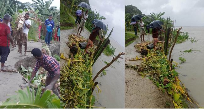 মির্জাগঞ্জে জোয়ারের পানিতে নিম্নাঞ্চল প্লাবিত