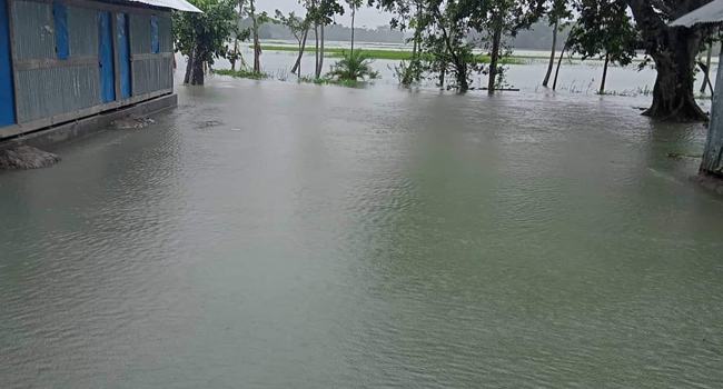 বেতাগীর পৌর শহরসহ ও নিম্নাঞ্চল প্লাবিত