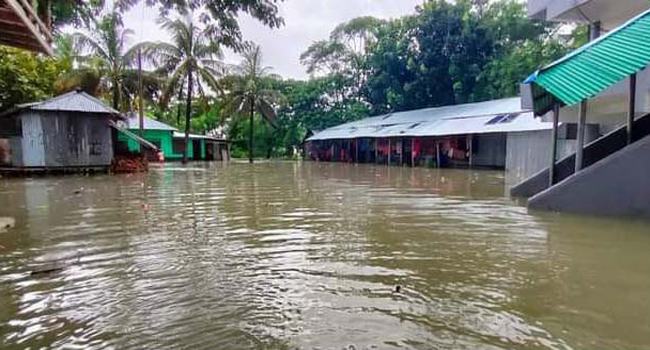 দশমিনায় জোয়ারের পানিতে নিম্নাঞ্চল প্লাবিত