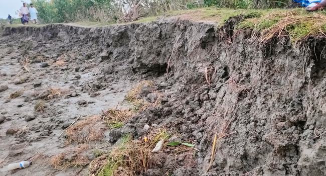 ৭ দিন পর নামছে জোয়ারের পানি : ফুটে উঠেছে বিধ্বস্ত উপকূল