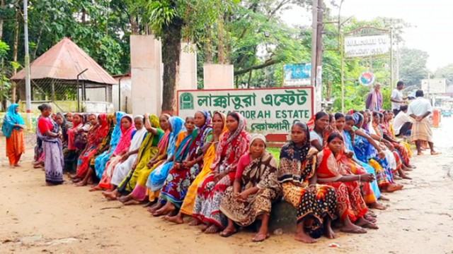 বৈঠকে হয়নি সমাধান, ফের আন্দোলনে চা-শ্রমিকরা