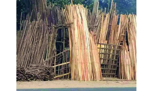 ঈদগাঁওয়ে প্রকাশ্যে বিক্রি হচ্ছে সংরক্ষিত বনের গাছ!