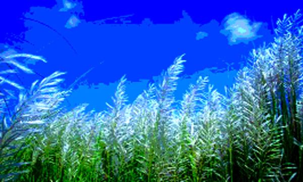 ঋতুরানীর রূপের ছোঁয়া