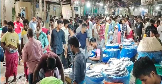 চাঁদপুর মাছঘাটে কমে গেছে ইলিশের সরবরাহ : বাড়ছে চাহিদা ও দাম