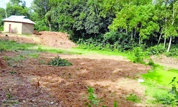 ভালুকায় কেটে নেয়া হচ্ছে বন বিভাগের উঁচু টিলা