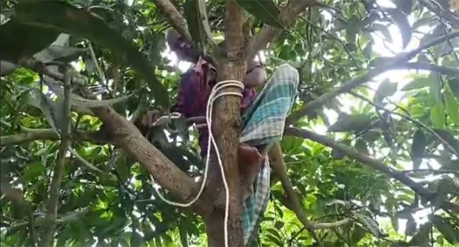 ঘোড়াঘাটে আমবাগান থেকে যুবকের ঝুলন্ত লাশ উদ্ধার