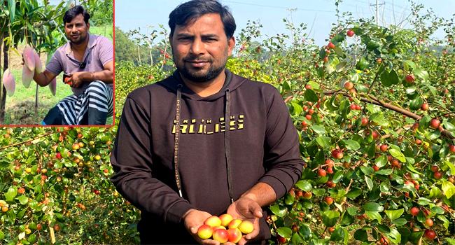 ফলের বাগান করে মাফি এখন কোটিপতি