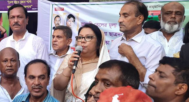 মানিকগঞ্জে বিএনপির প্রতিবাদ সভায় সরকার পতনের ডাক