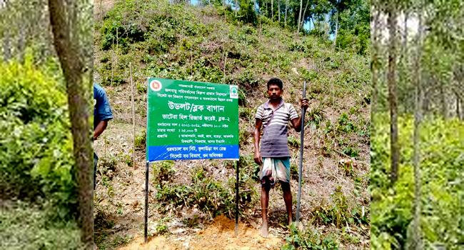 খাসিয়াদের থাবায় ধ্বংসের দ্বারপ্রান্তে বন্যপ্রাণী ও জীববৈচিত্র