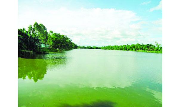 ছবি শুধু ছবি নয়