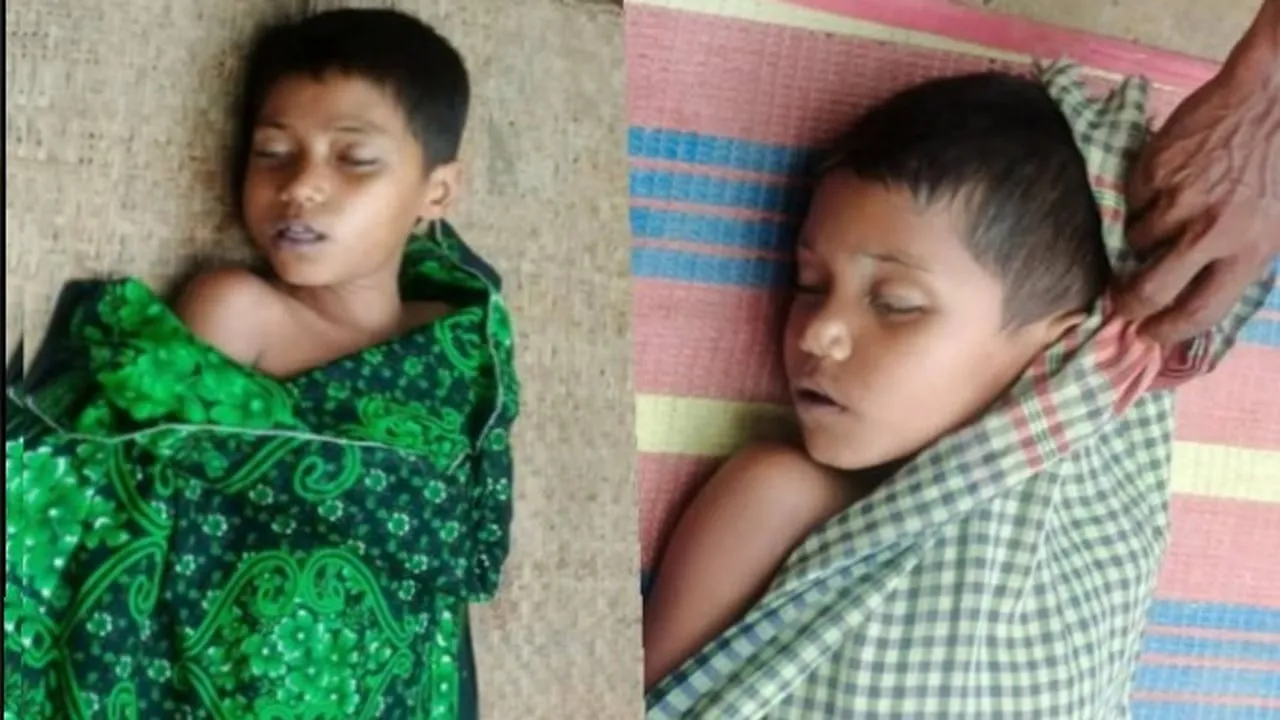 চুনারুঘাটে পানিতে ডুবে ভাই-বোনের মৃত্যু