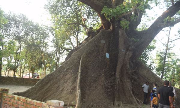 ছবি শুধু ছবি নয়