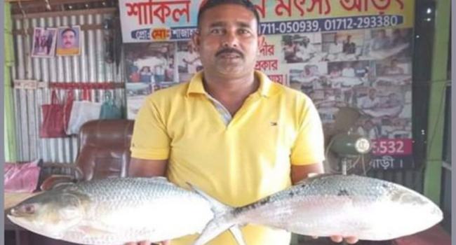 পদ্মার একজোড়া ইলিশ ৮৫৬০ টাকা