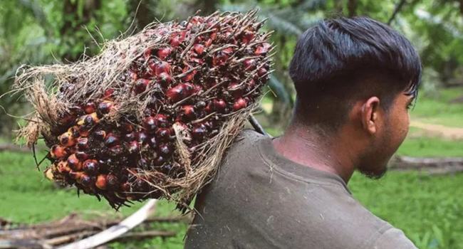 যুক্তরাষ্ট্রের মানবপাচার র‍্যাংকিংয়ে মালয়েশিয়ার অবনতি