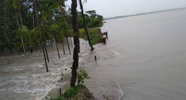 মির্জাগঞ্জে বেড়িবাঁধ ভেঙে ৫ গ্রাম প্লাবিত