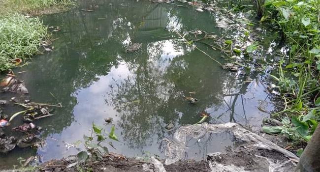 সৈয়দপুরে ডোবায় পড়ে দুই ভাইয়ের মৃত্যু
