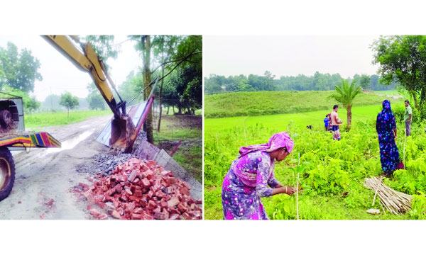 ভালুকায় সাড়ে ১২ একর বনভূমি উদ্ধার করে বনায়ন