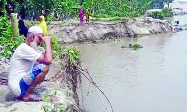 এনায়েতপুরে গুচ্ছগ্রামসহ ৩৪ বসতভিটা যমুনায় বিলীন