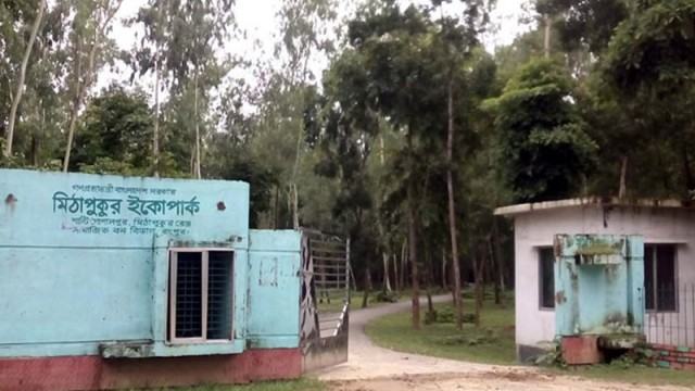 দৃশ্যমান হচ্ছে মিঠাপুকুর ইকোপার্ক : জনপ্রিয়তা পাচ্ছে বিনোদন কেন্দ্র হিসেবে