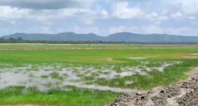 ওপারে গোলাগুলি, এপারে ভয়ে কাঁদছে শিশুরা : সতর্ক অবস্থায় বিজিবি