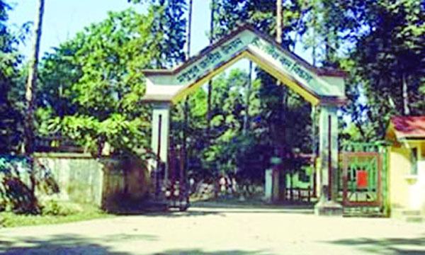 ছবি শুধু ছবি নয়