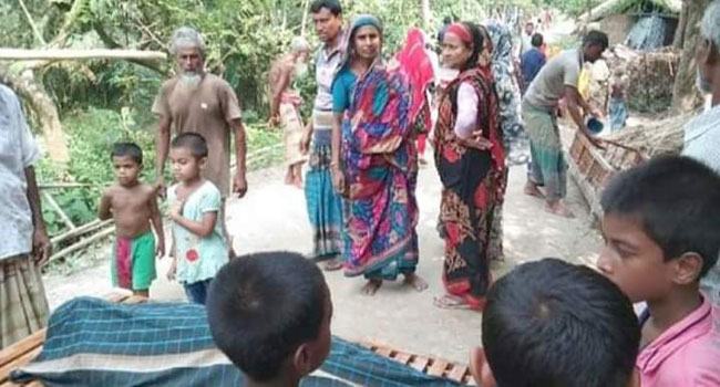 ছেলেকে বাঁচাতে গিয়ে মৌমাছির কামড়ে বাবার মৃত্যু : মা-ছেলে আহত