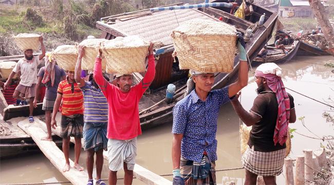 বছরের লবণ উৎপাদনের লক্ষ্যমাত্রা ২৪ লাখ ৮৩ হাজার টন