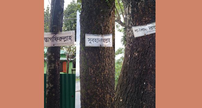 জামালগঞ্জে সড়কের পাশে গাছে-গাছে শোভা পাচ্ছে আল্লাহর নাম