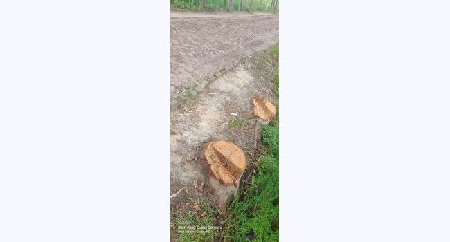 কাহালুতে আ’লীগ নেতার বিরুদ্ধে কোটি টাকা আত্মসাতের অভিযোগ
